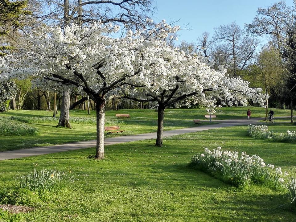 Newsletter avril 2019