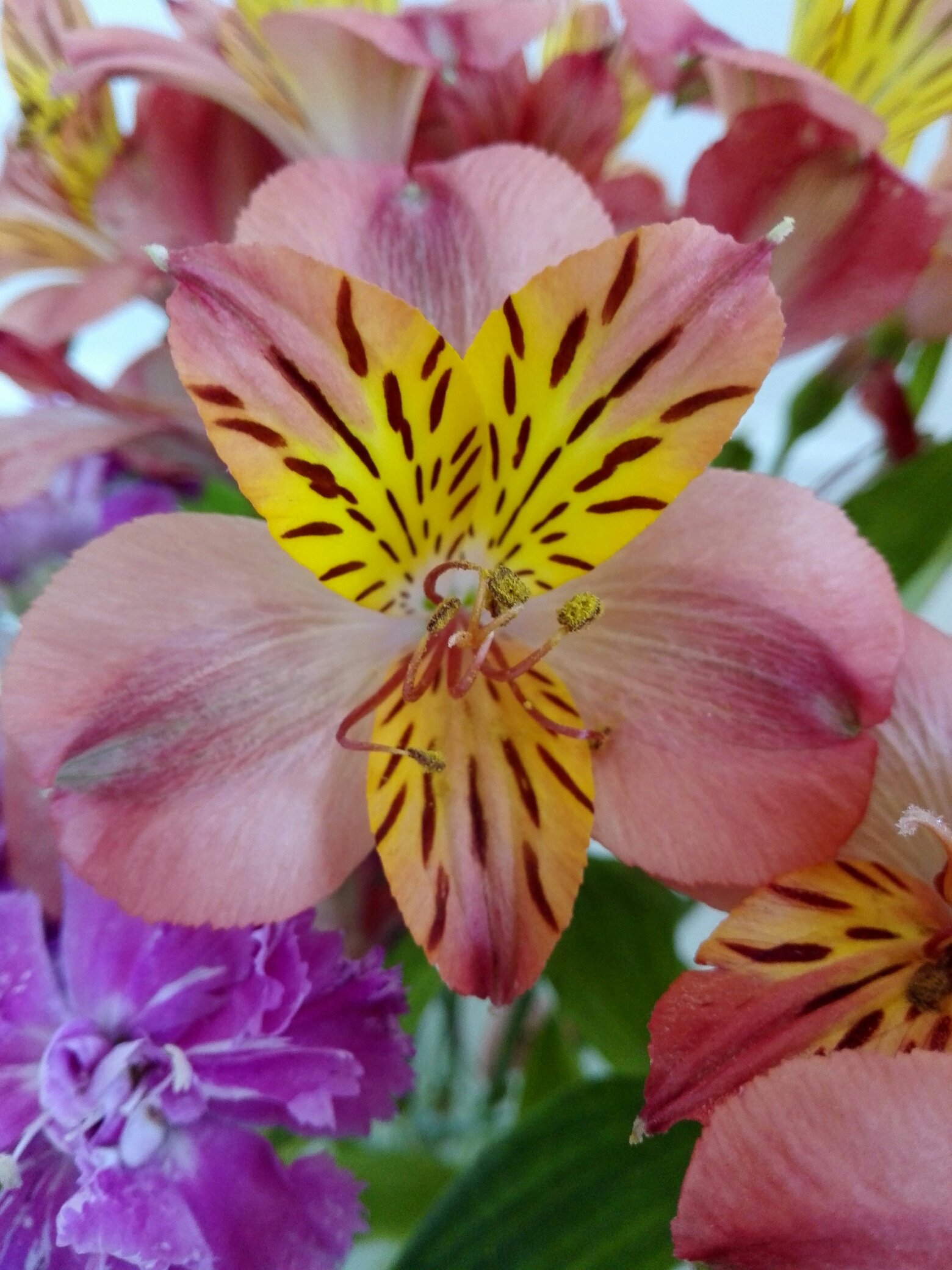 Newsletter octobre 2019